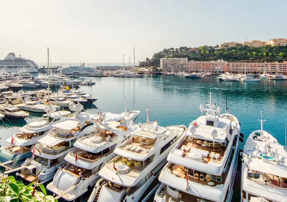Many yachts parked, bay